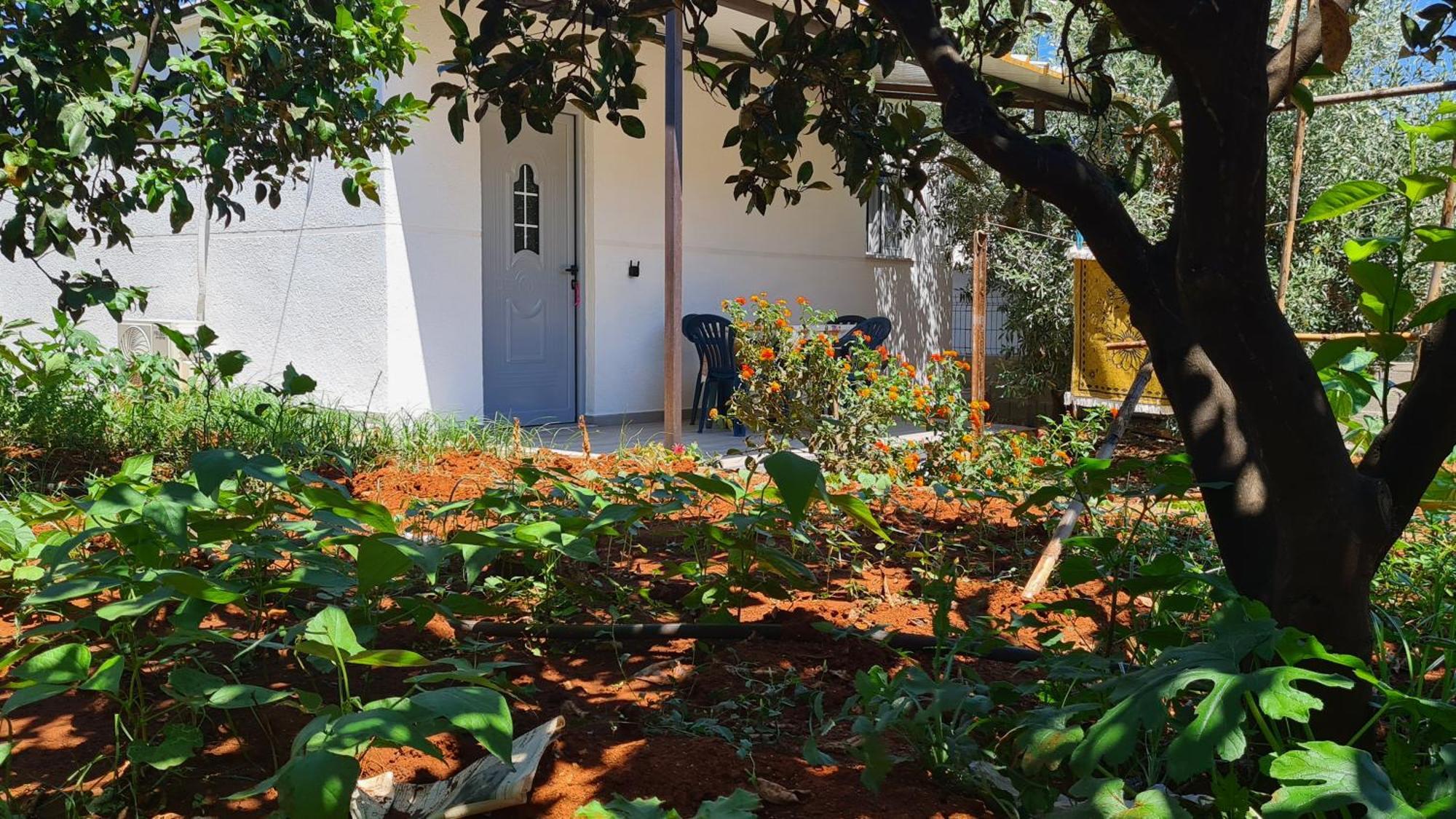 Villa Reshat Caca Ksamil Dış mekan fotoğraf